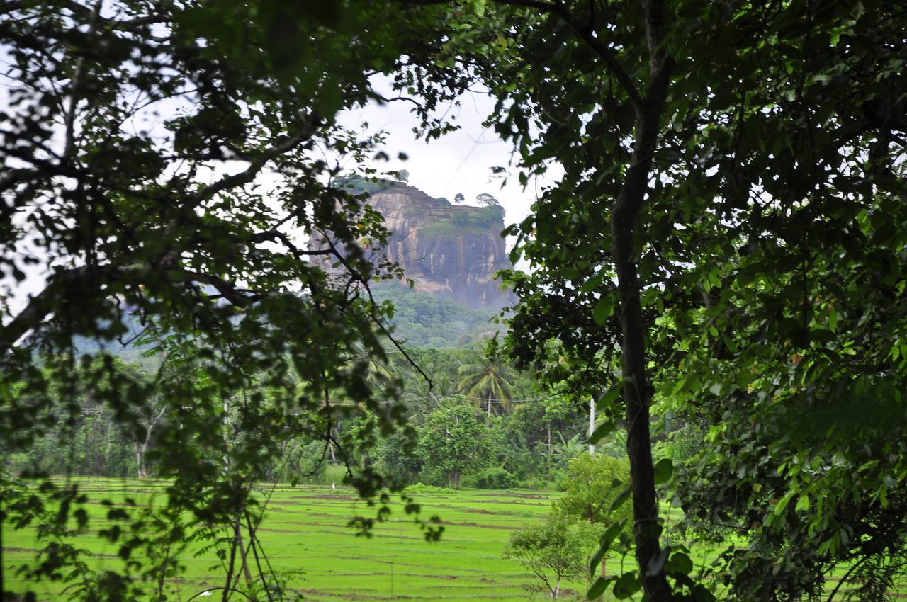 Rock Lake Home Stay Sigiriya Exterior foto