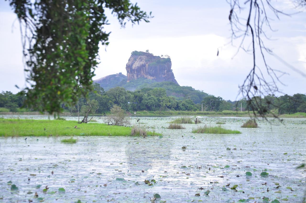 Rock Lake Home Stay Sigiriya Exterior foto