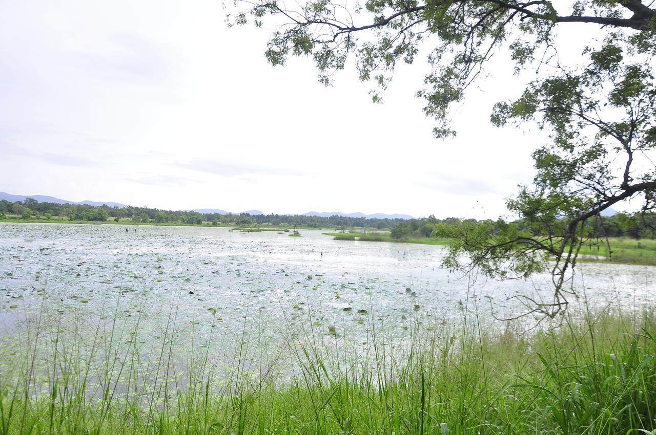 Rock Lake Home Stay Sigiriya Exterior foto